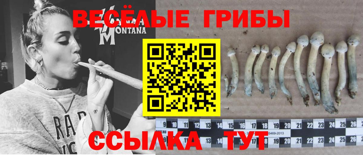 Ростов Великий  Псилоцибиновые грибы мухоморы  Вход с VPN 